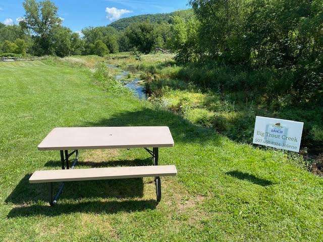 Big Trout Creek site views