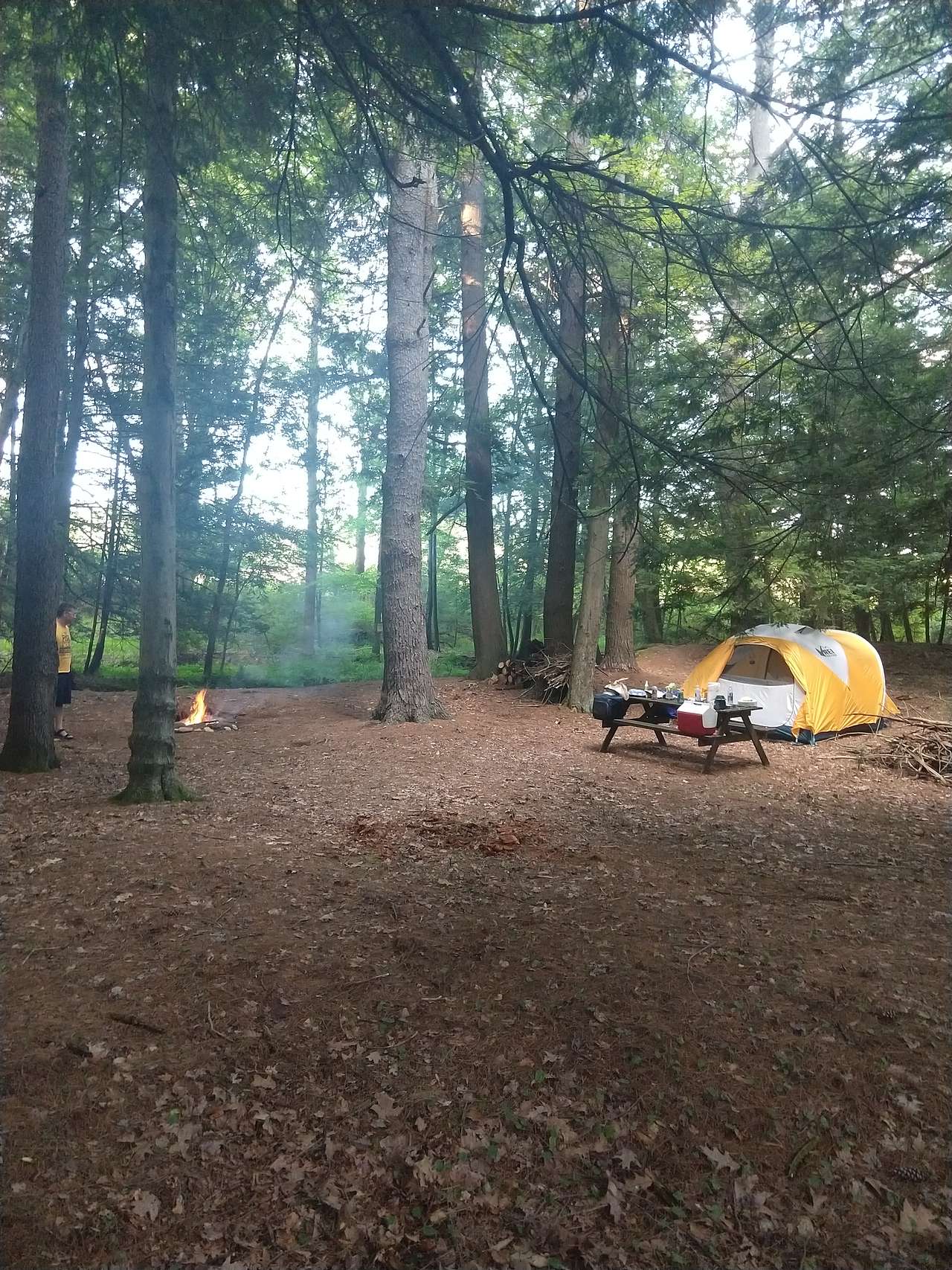 Bald Eagle Campsite