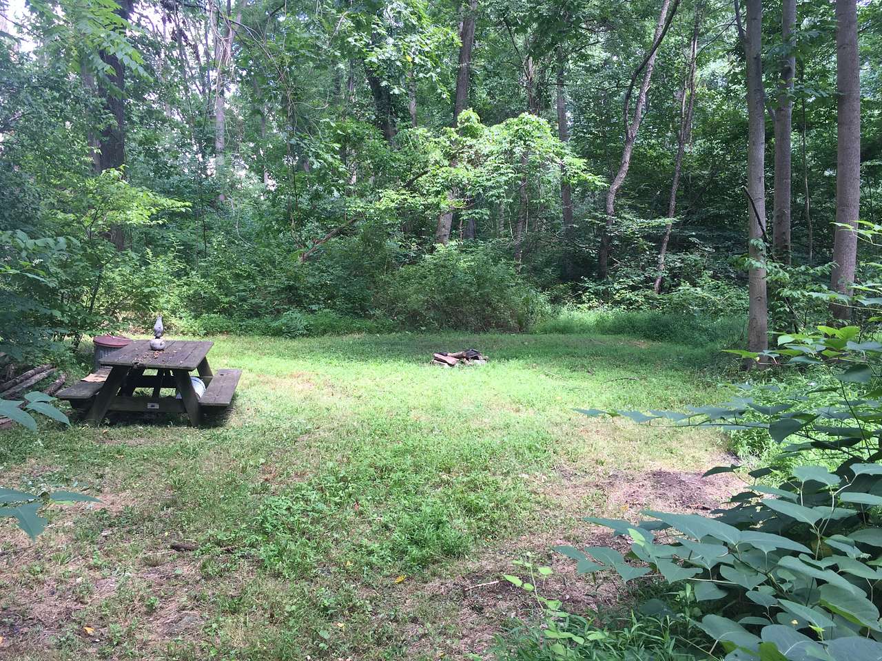 Site #1 Main campsite.