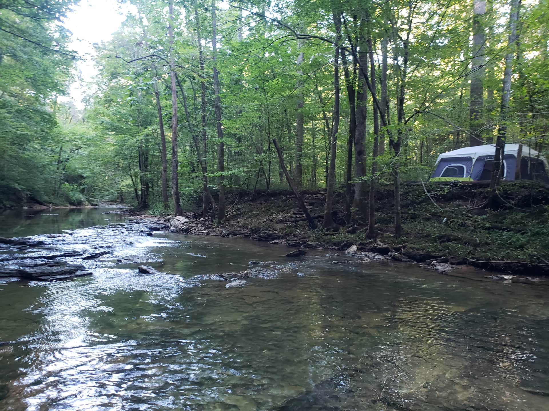 Belle and Beau Acres