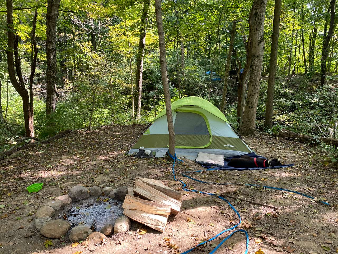 Site 5