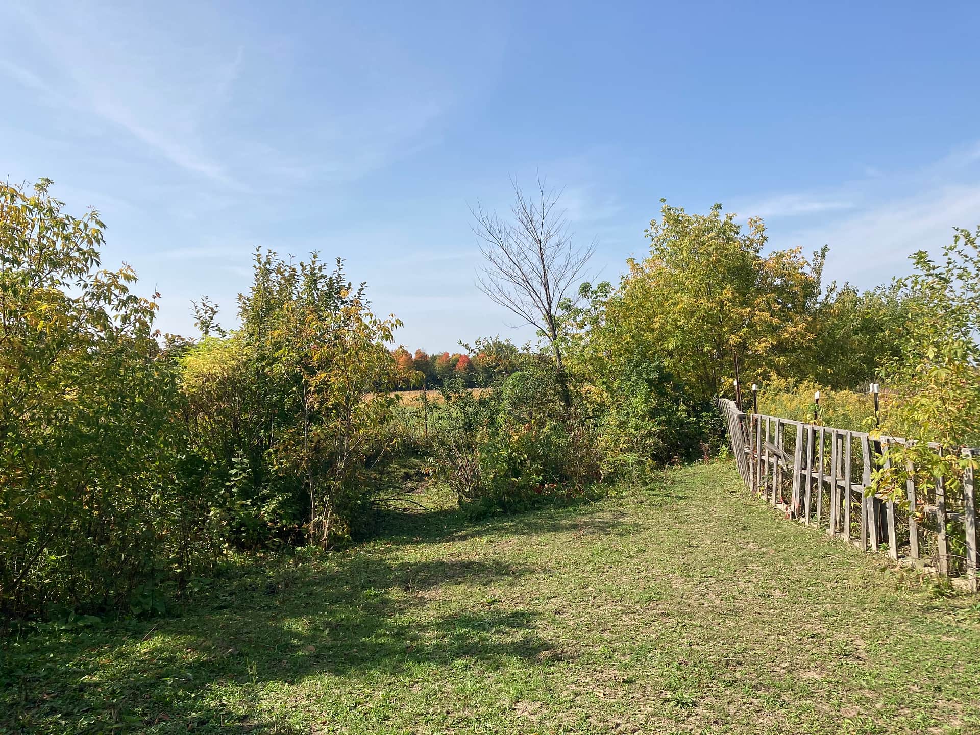 site for tents