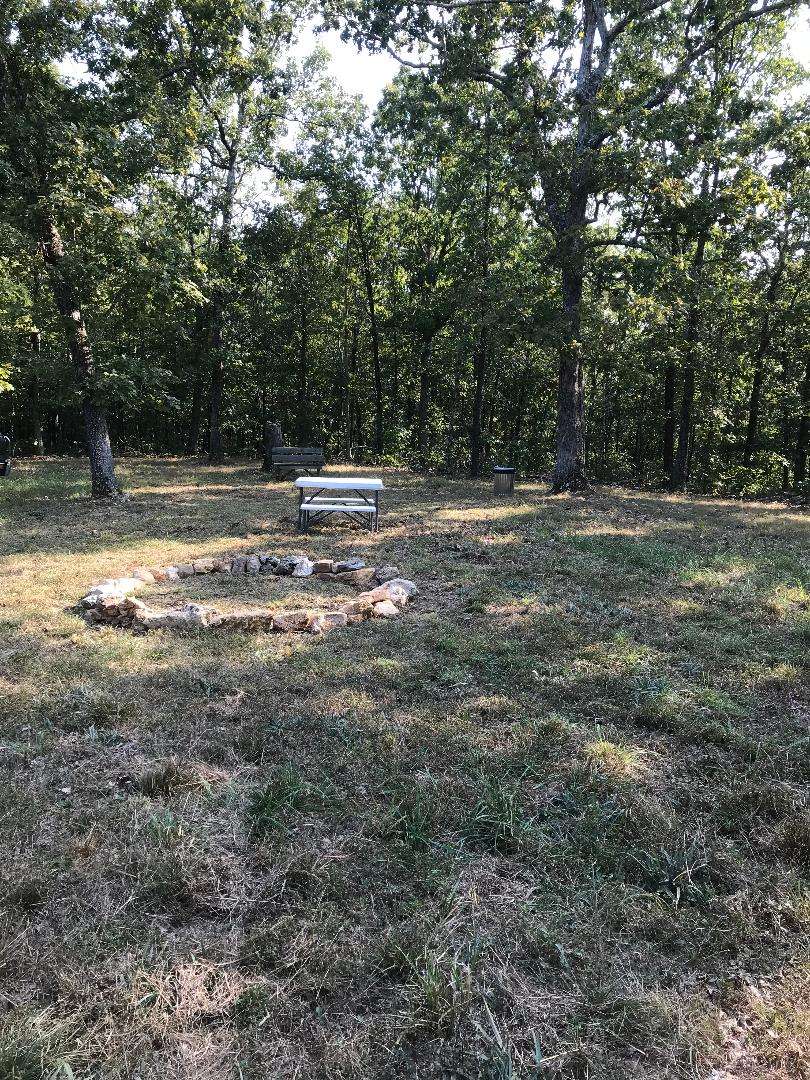 Camping Area in clearing
