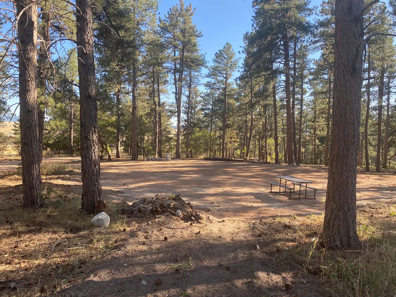 Campsite #3 is the largest of the 5 sites. It is circular and will accommodate a large motor home or 2 small trailers.