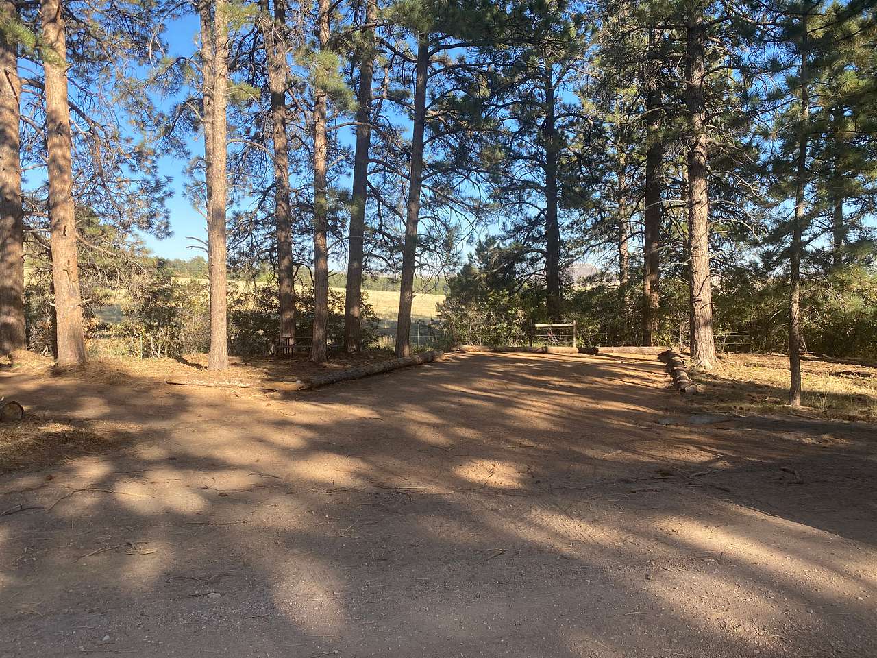 Campsite #4 is on the east side of the driveway approximately 160 yards from the entrance. It is closest to the petting zoo.