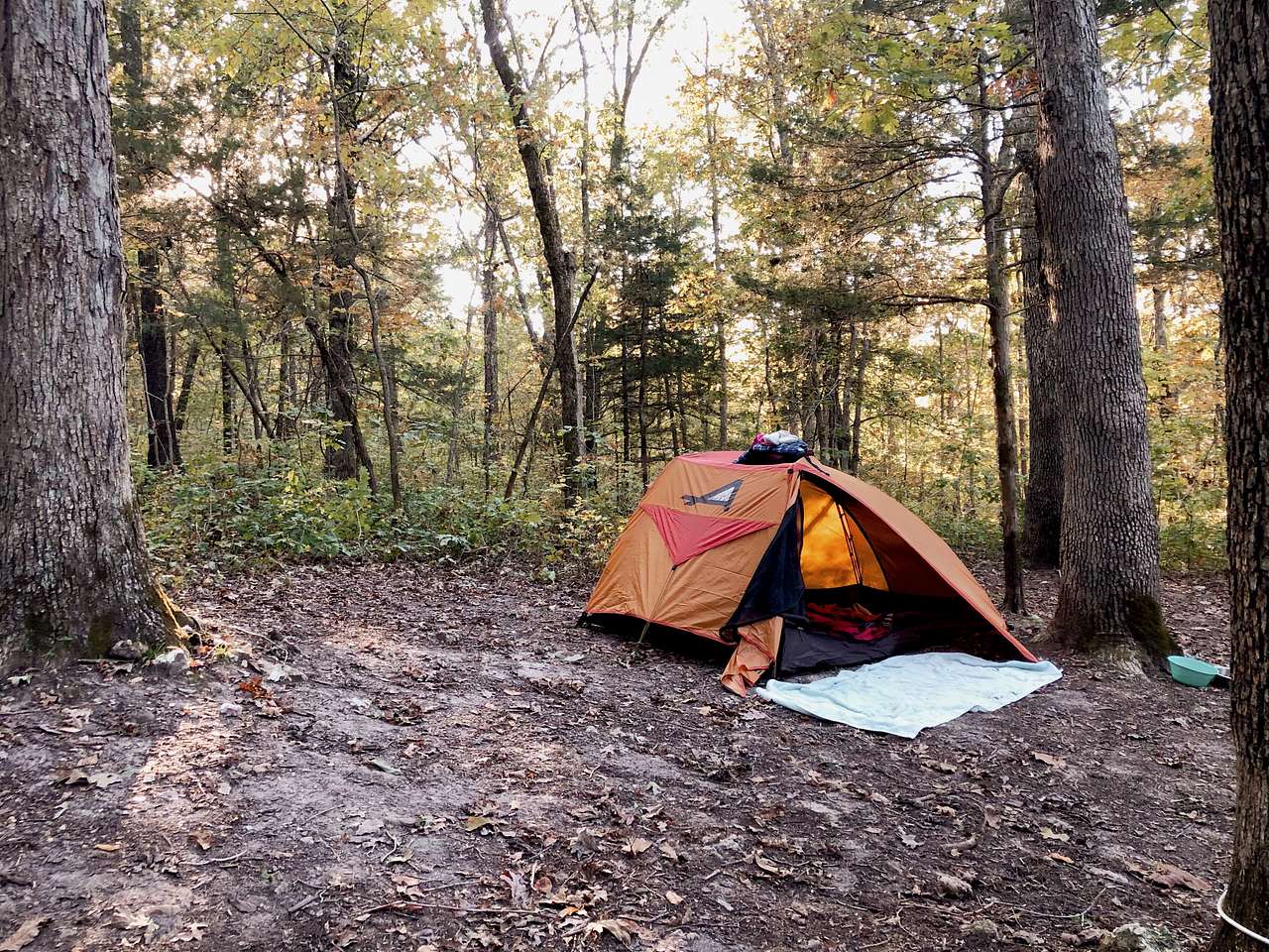 River Bluff Woods