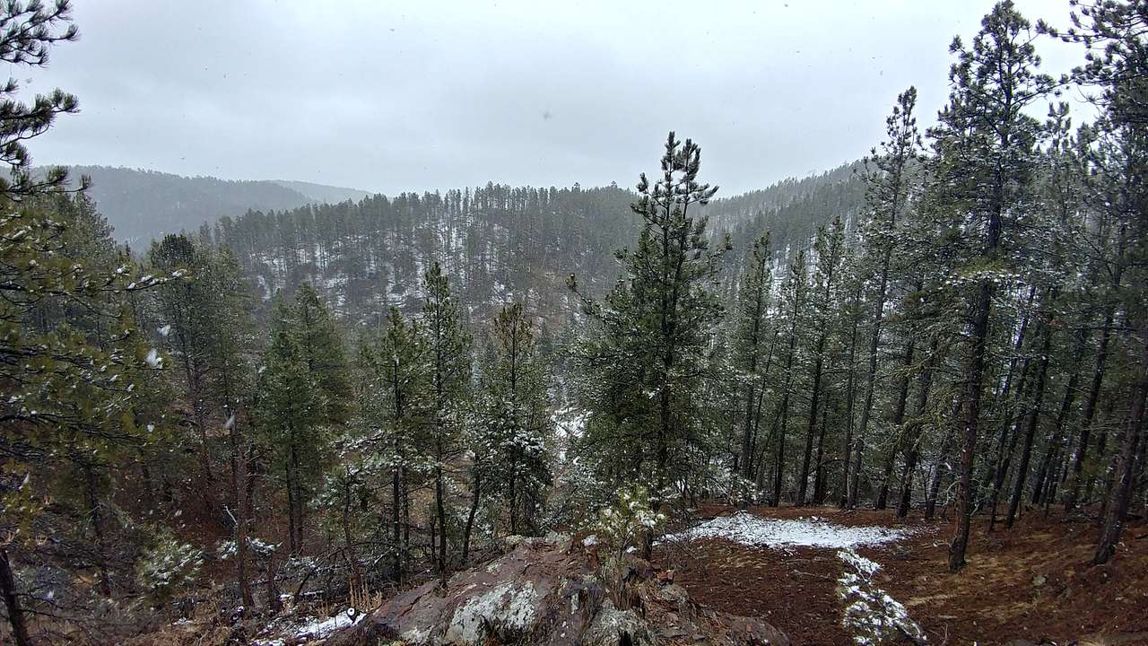 The Wilderness