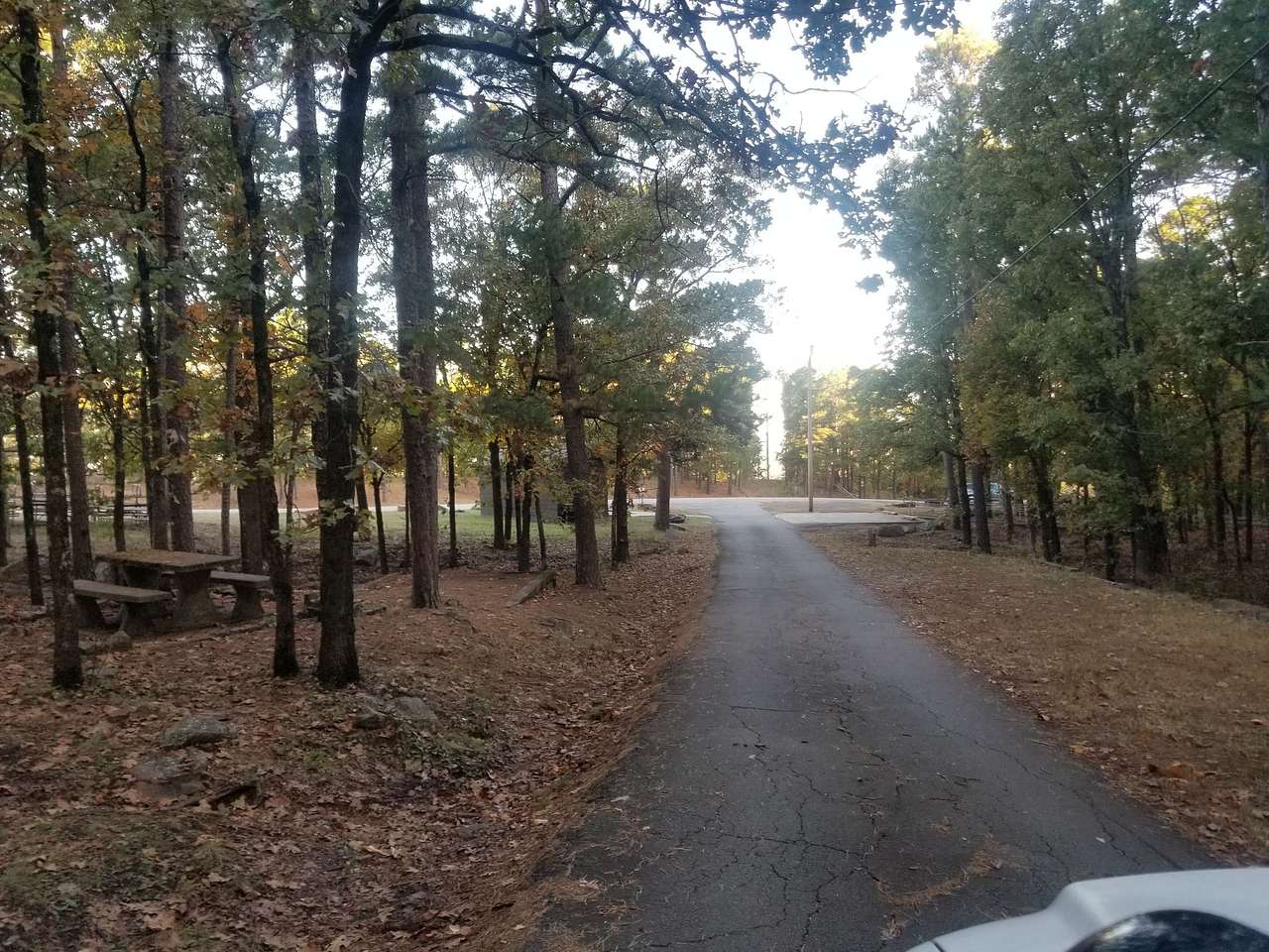Campsite is seen on left side of roadway and parking is on right side of roadway