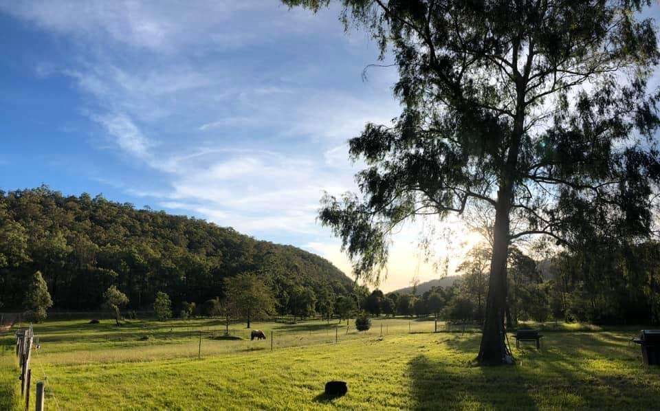 "DeView" Colo River Camping