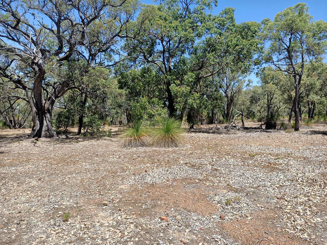Chittering Acres