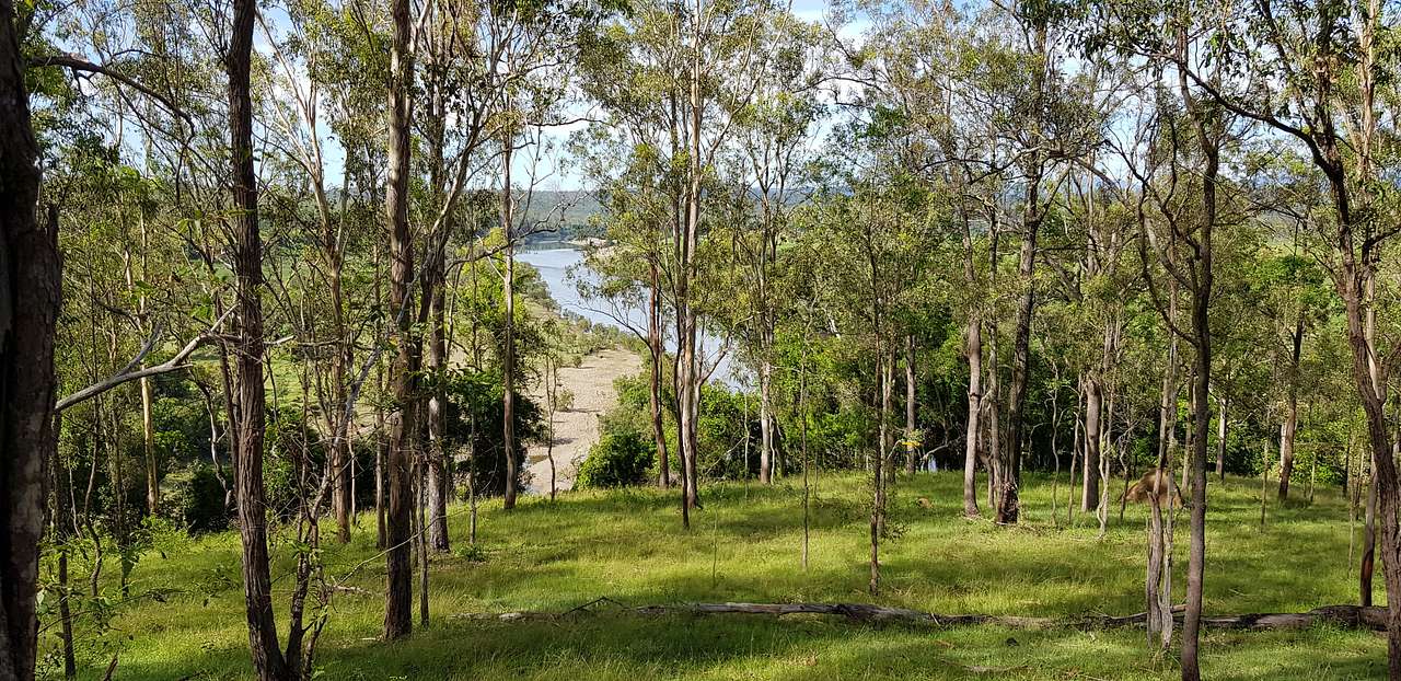 Winegrove