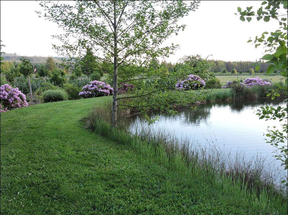 The Arboretum at Bear Canyon West