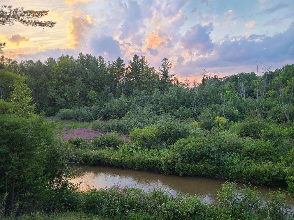 August on the River is in full bloom