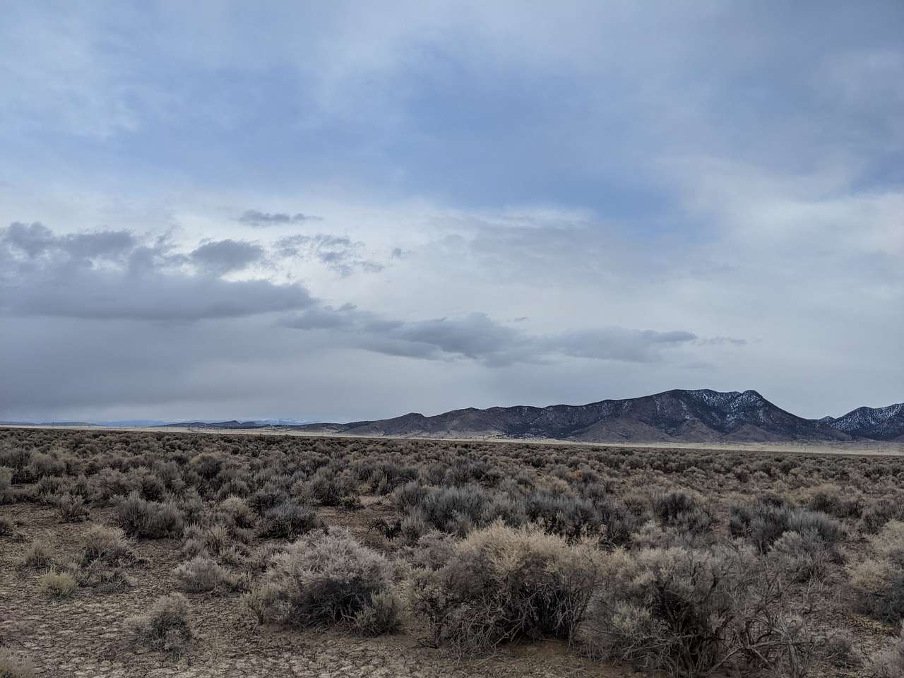 Briggs' Beryl Desert Retreat