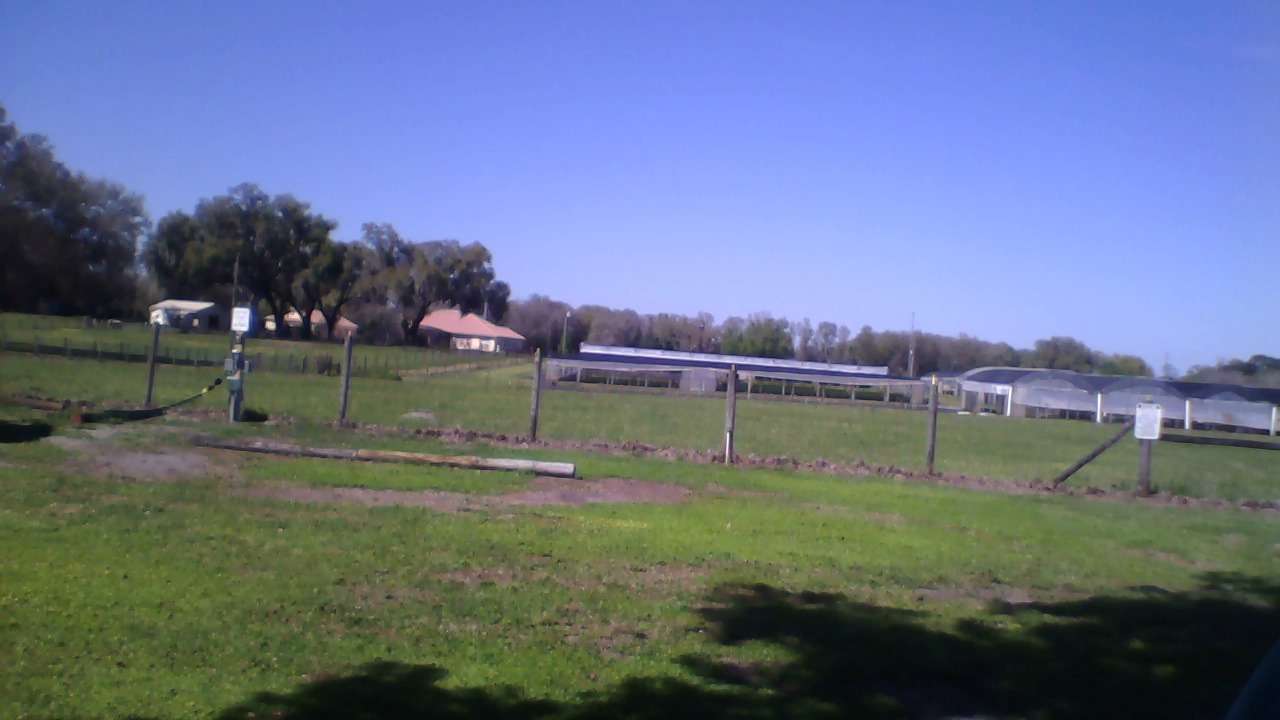 Pennylane Farm