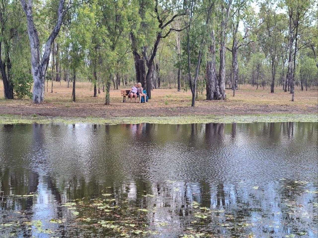 Picture shows a bench seat, in Rubern Lagoons Bush Campgrounds, this is across the Lagoons away from powered sites