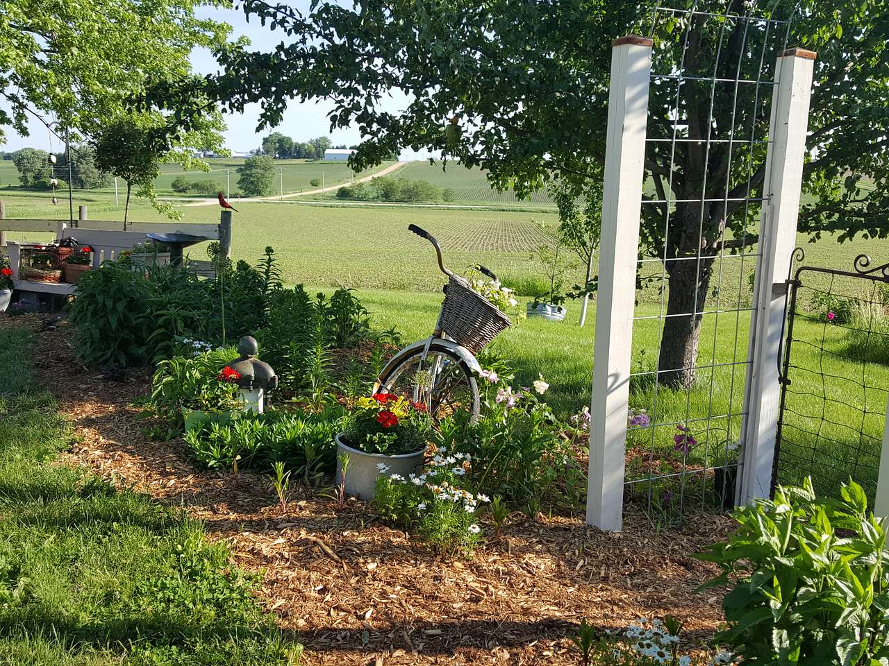 Miss Effie's Country Flowers