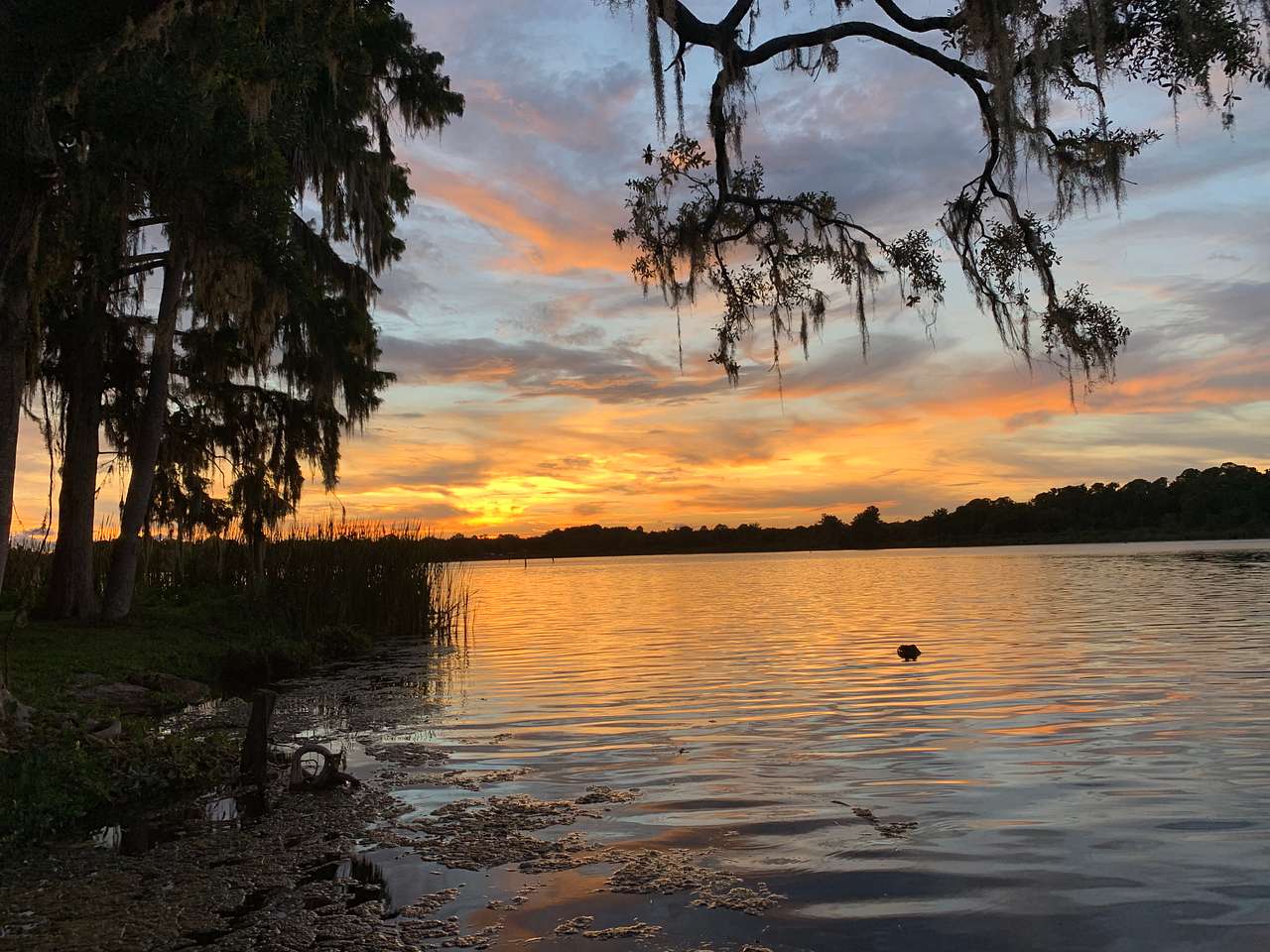 Paradise Lake Rousseau ,Fl