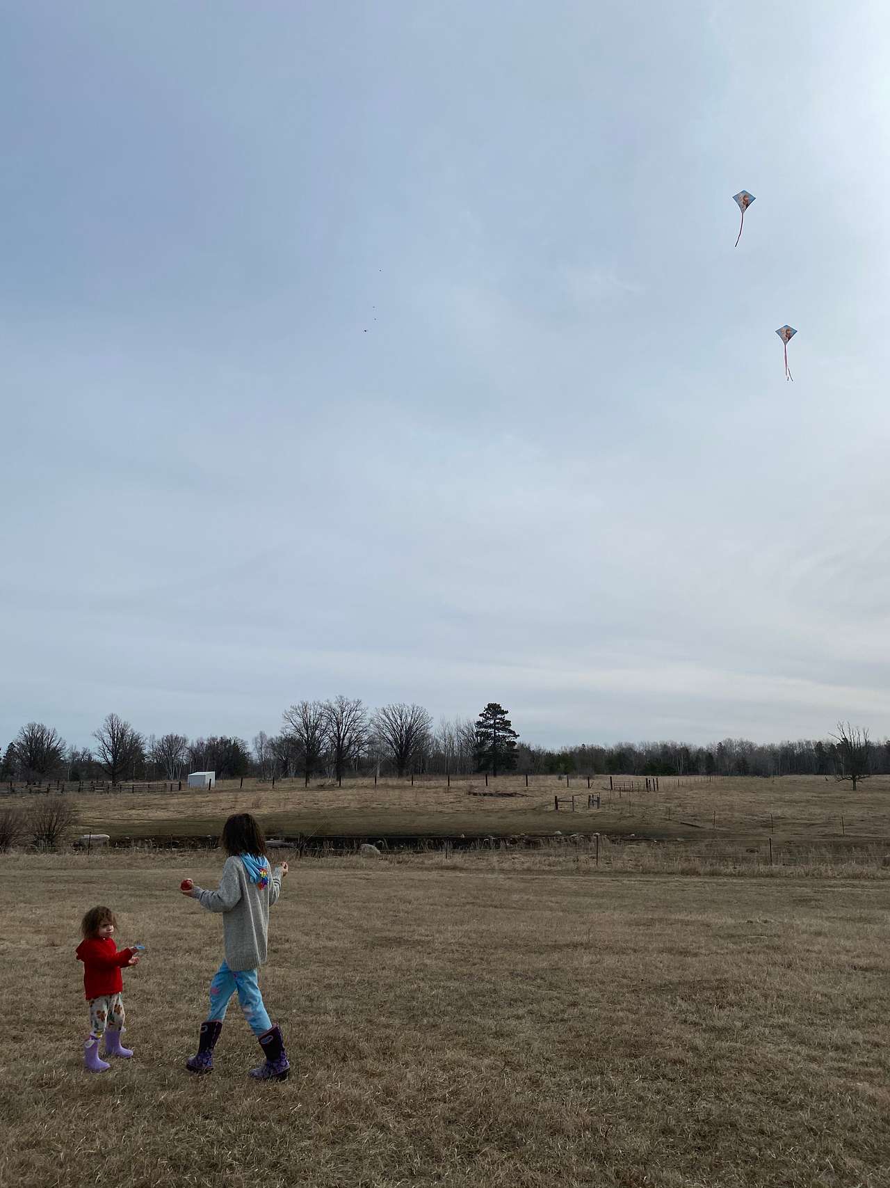 I Live in the Country