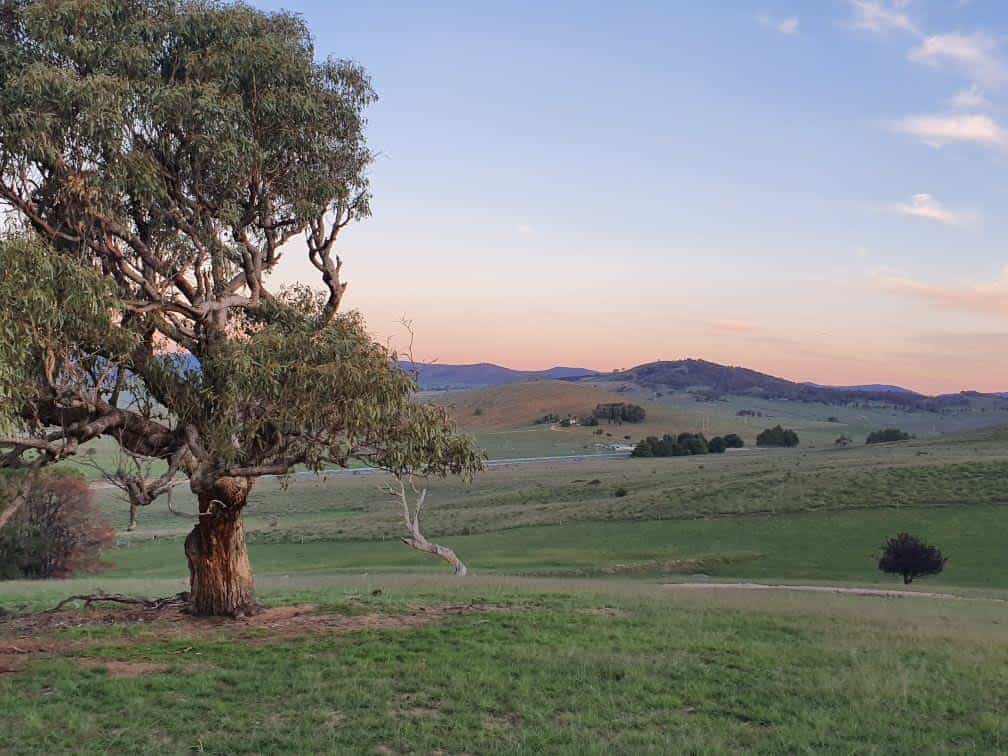 Michelago HILLDYKE 160 yr old farm