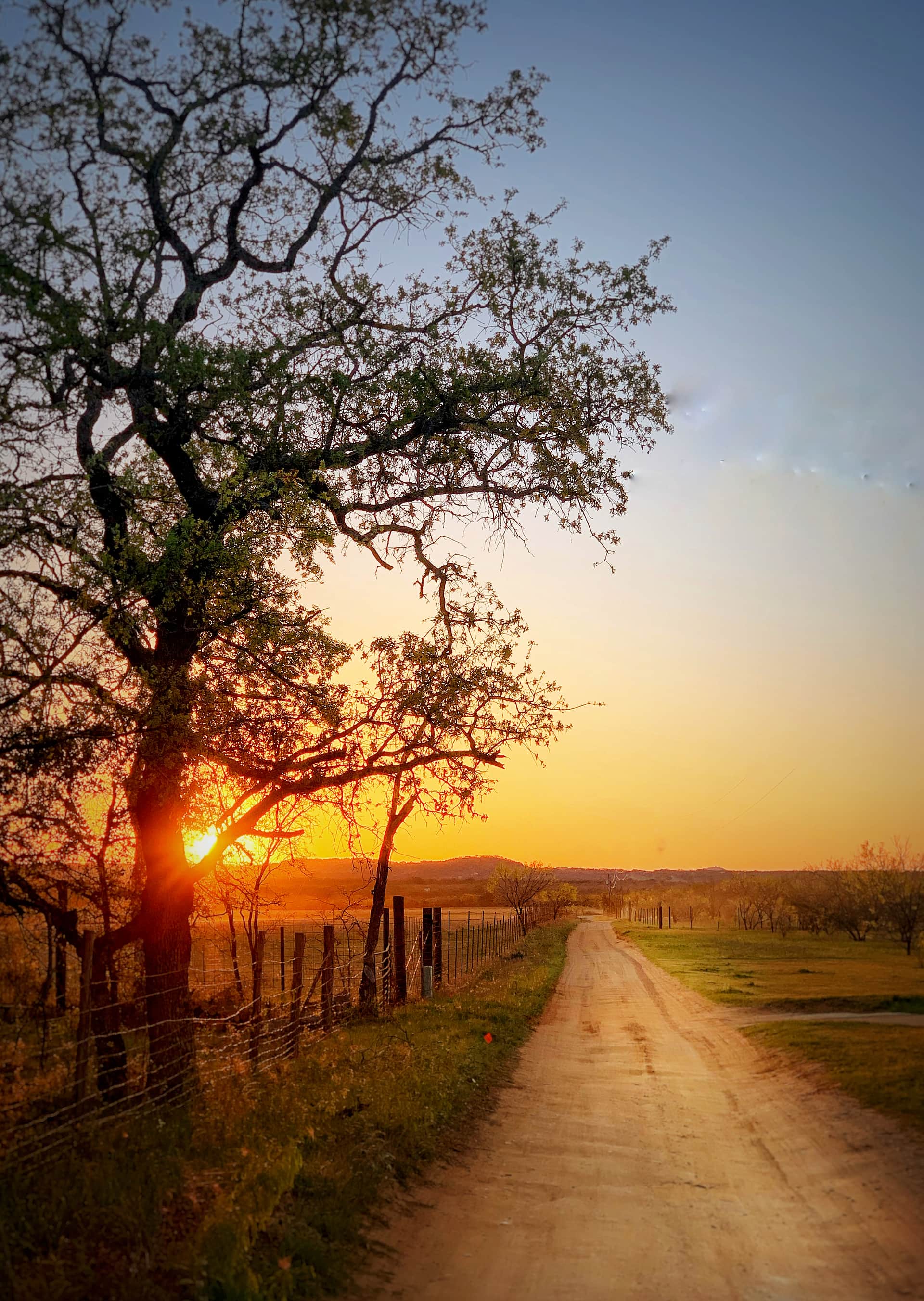 My early morning walk on the road just outside of Angela’s property 