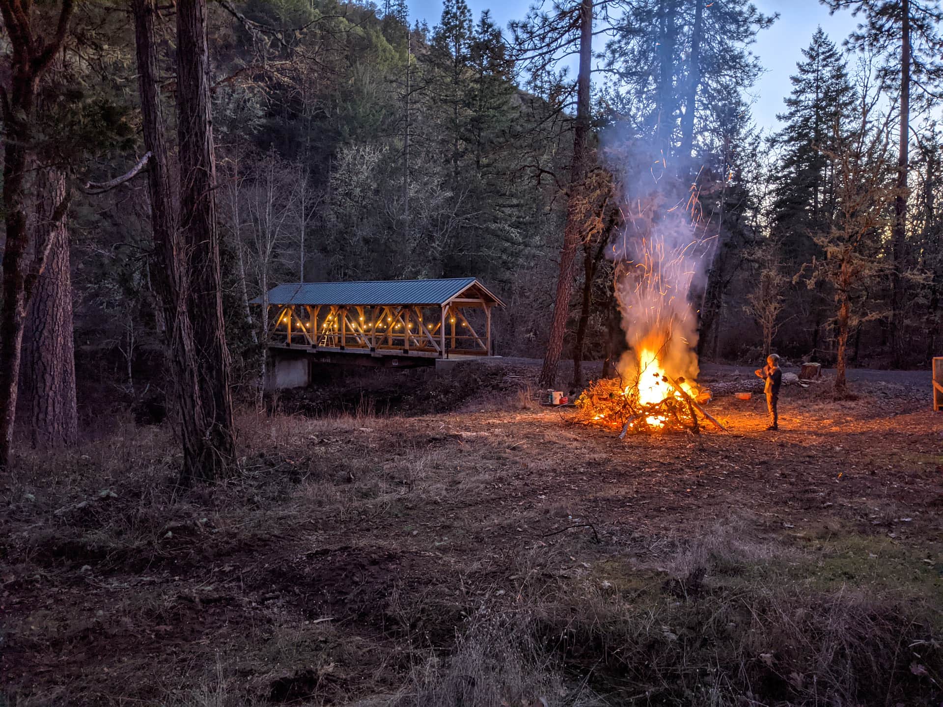 Forested creekside campsite