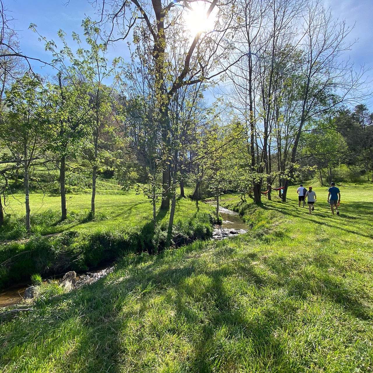 Streamside