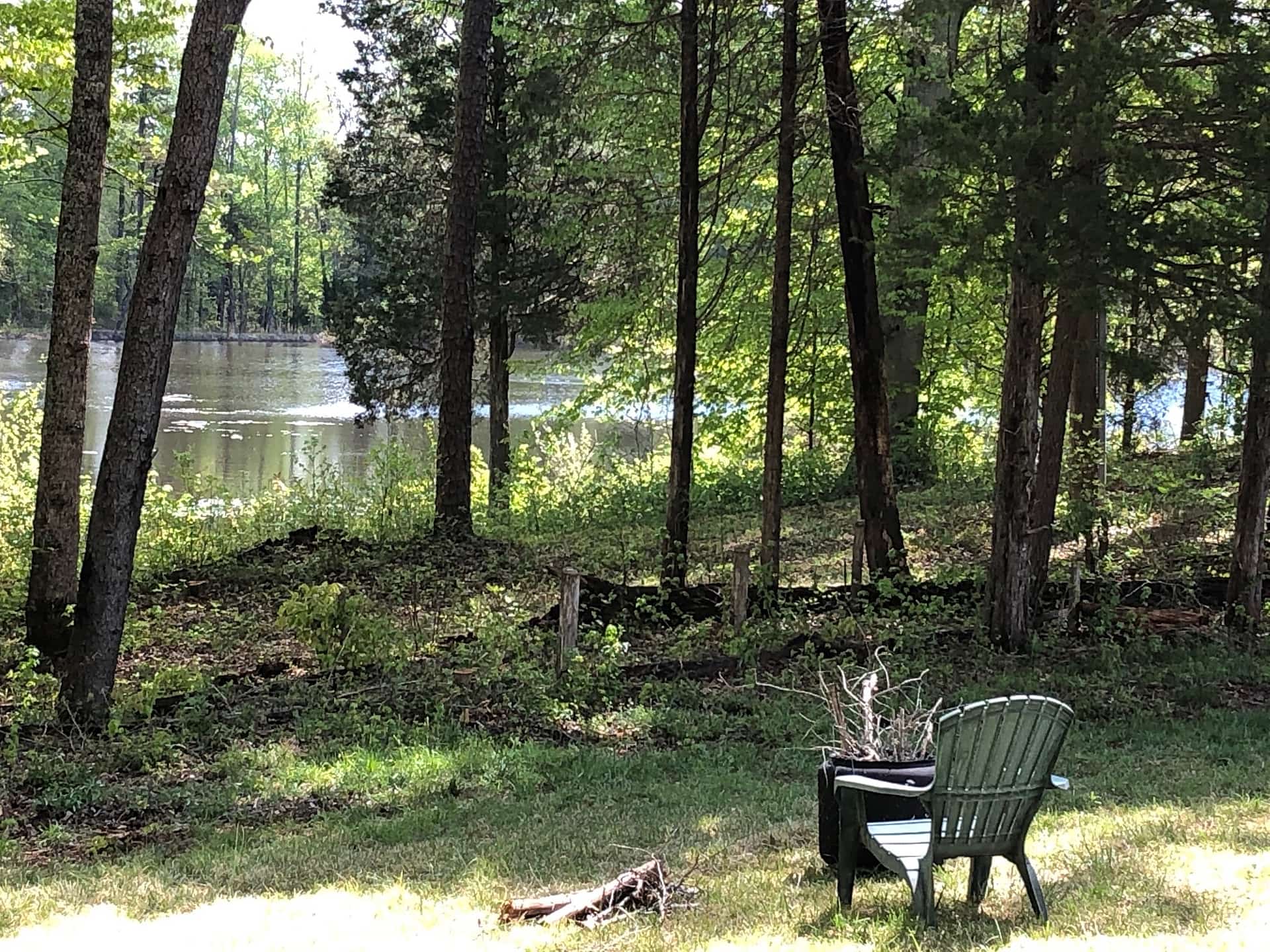Relaxing view of the pond from the cottage fire pit