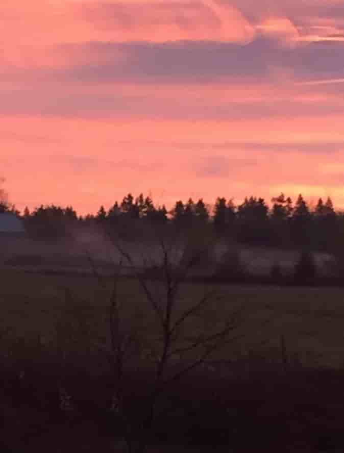 Kavanagh Farm camping