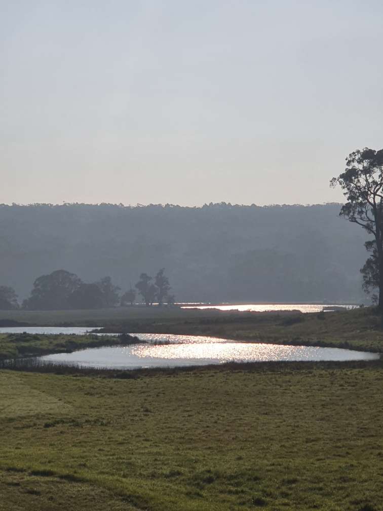 Campsite overlooking the billabongs t sunset before the corn crop grew "as high as an elephants eye"
Peaceful location and walking distance to the Shoalhaven River.