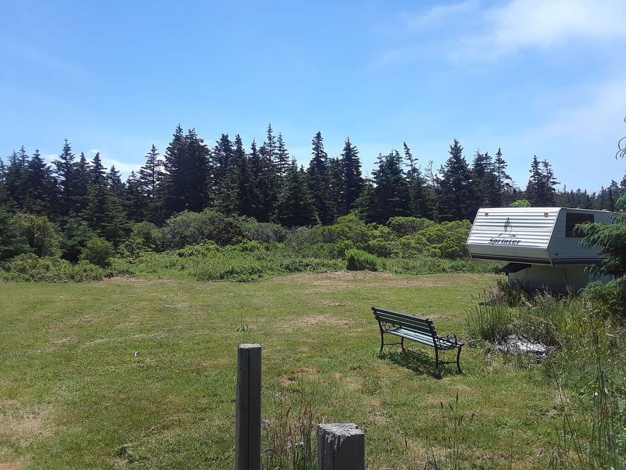 Green Grass of Home