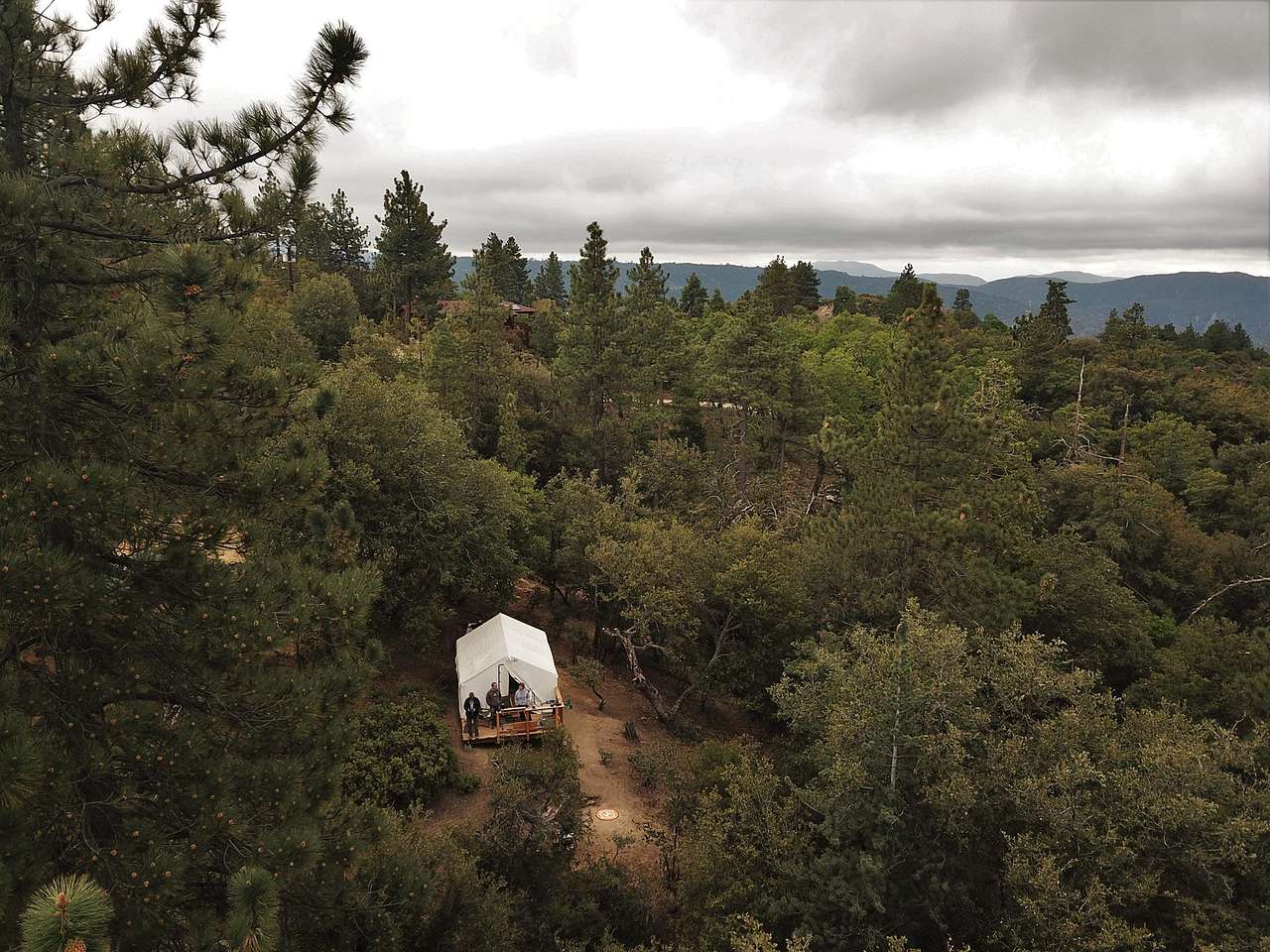 Serene forest privacy for 4WD