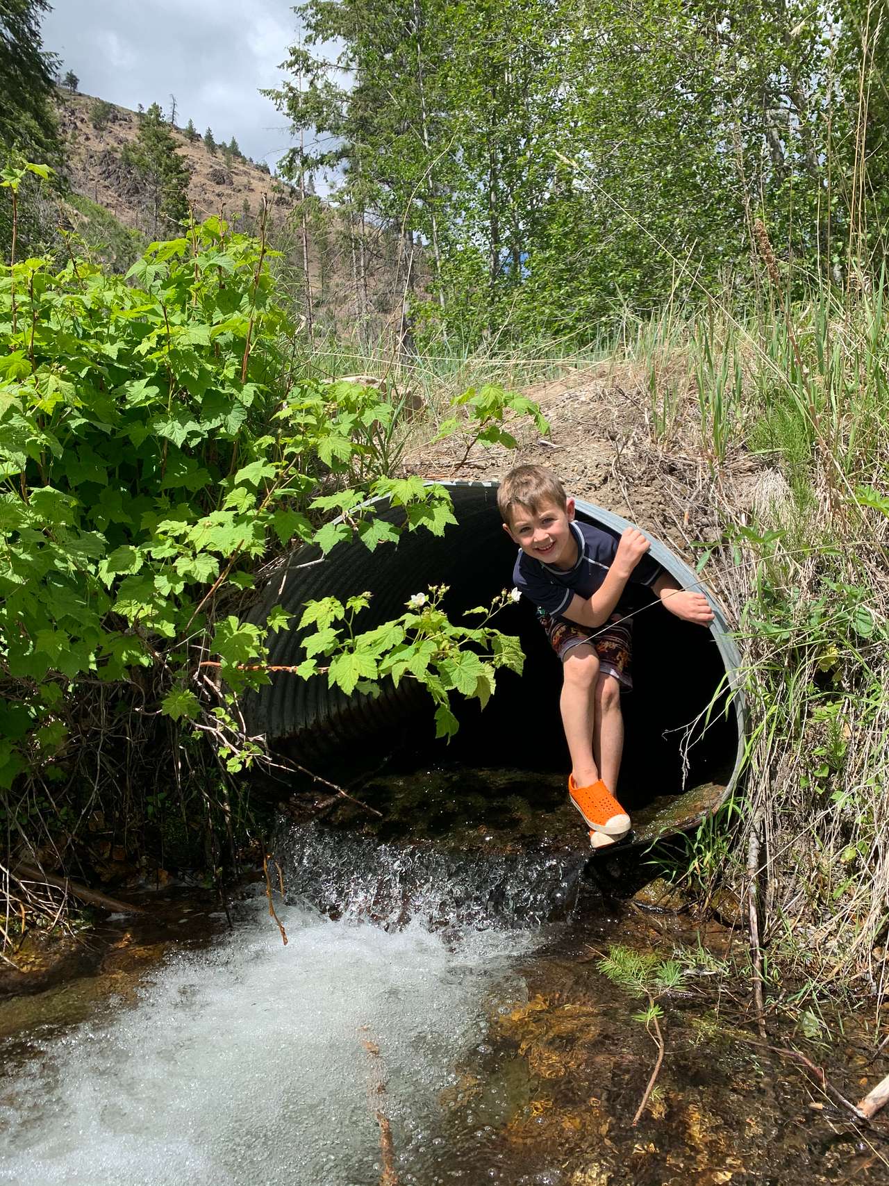 Playing in the creek