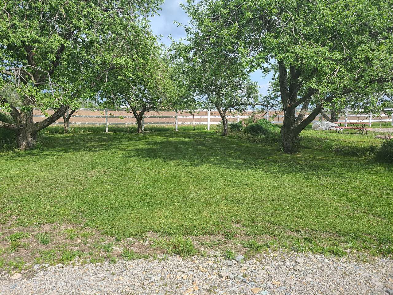 Site 5