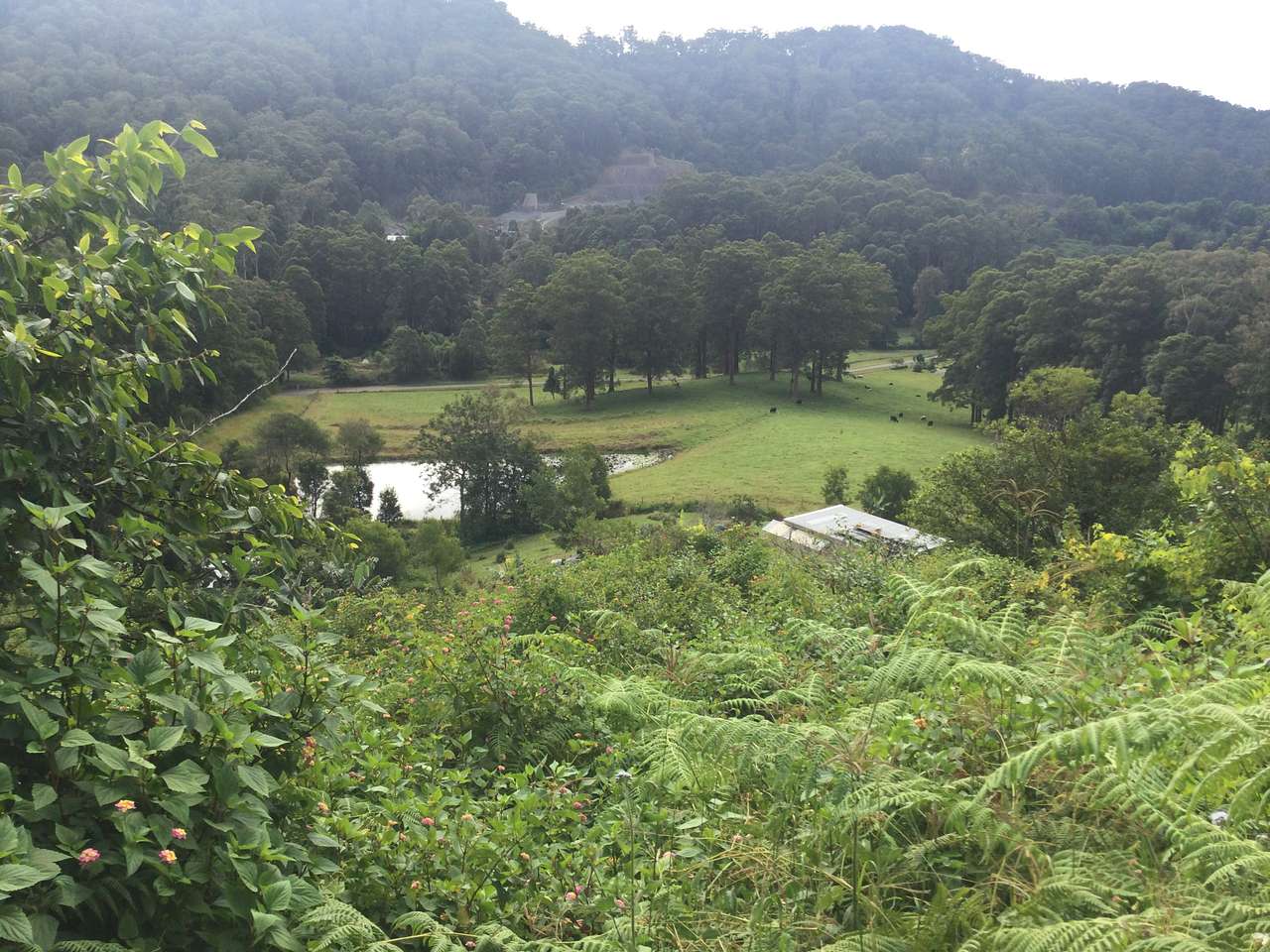 State Forest, Ocean Views