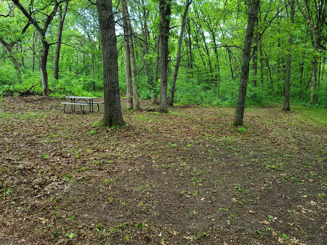 Site 1