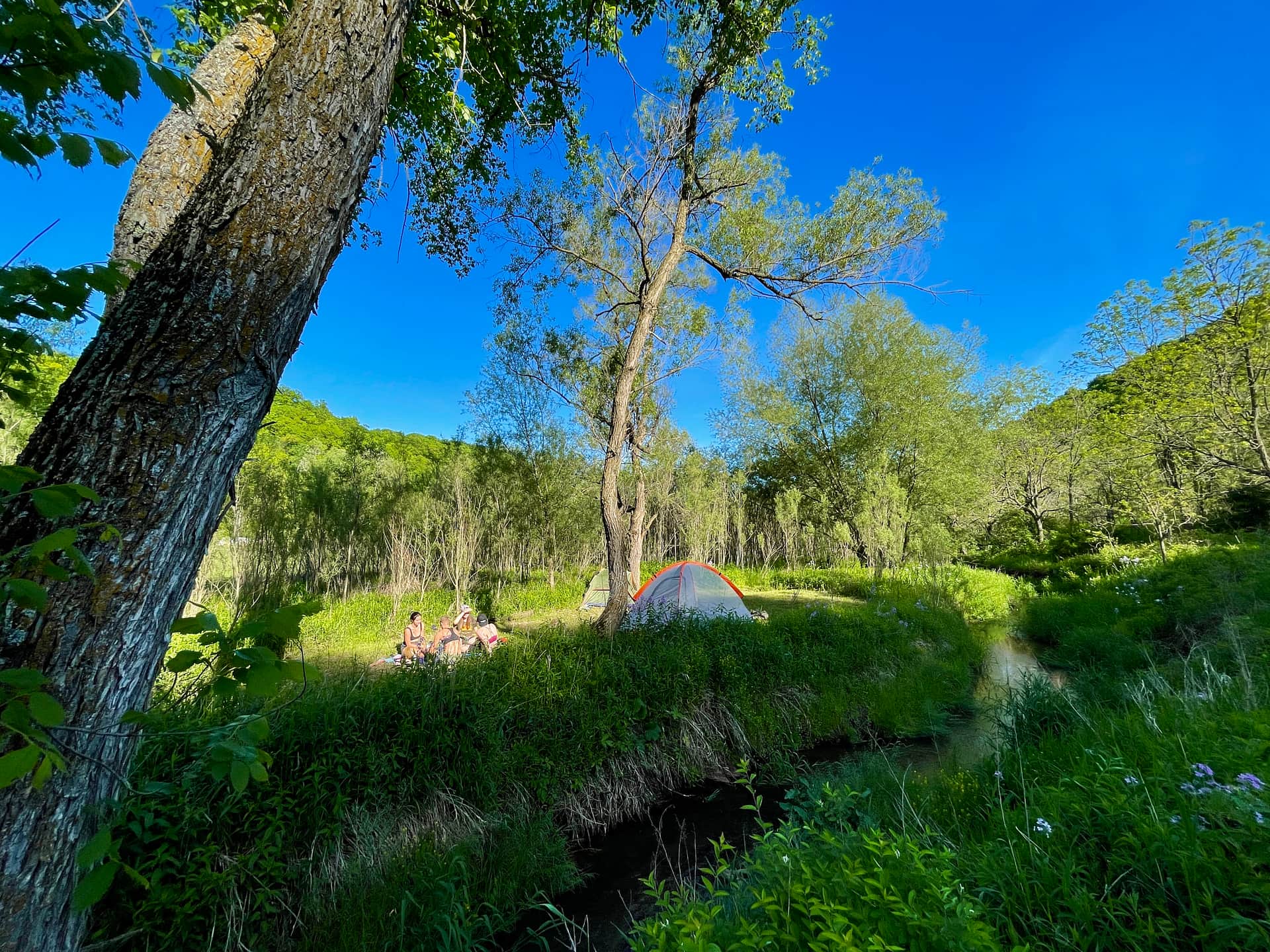 Beautiful, private creekside setting!