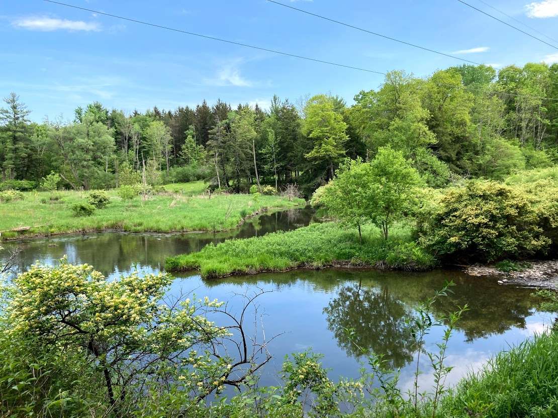 Vista view of Cascadilla Creek as it bends into a pond