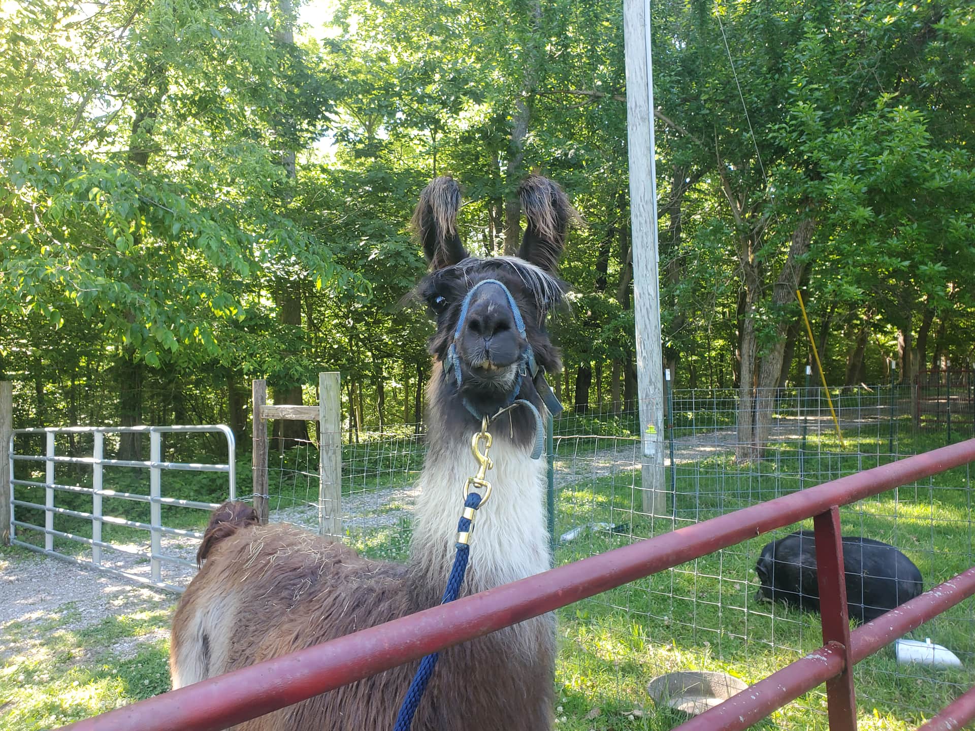 Emerald Acres Farm