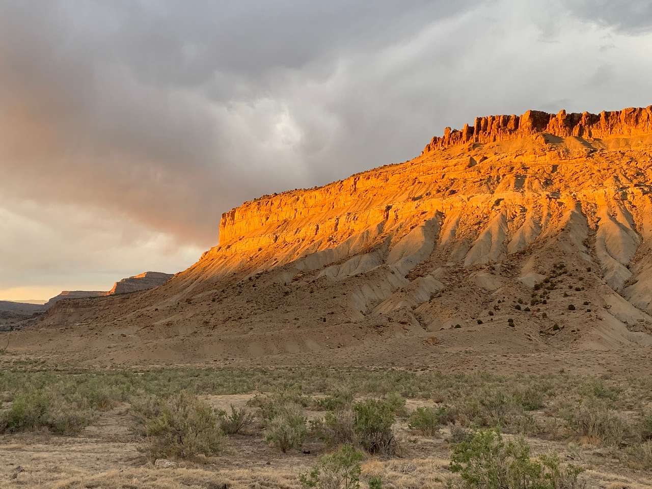Palisade Vista