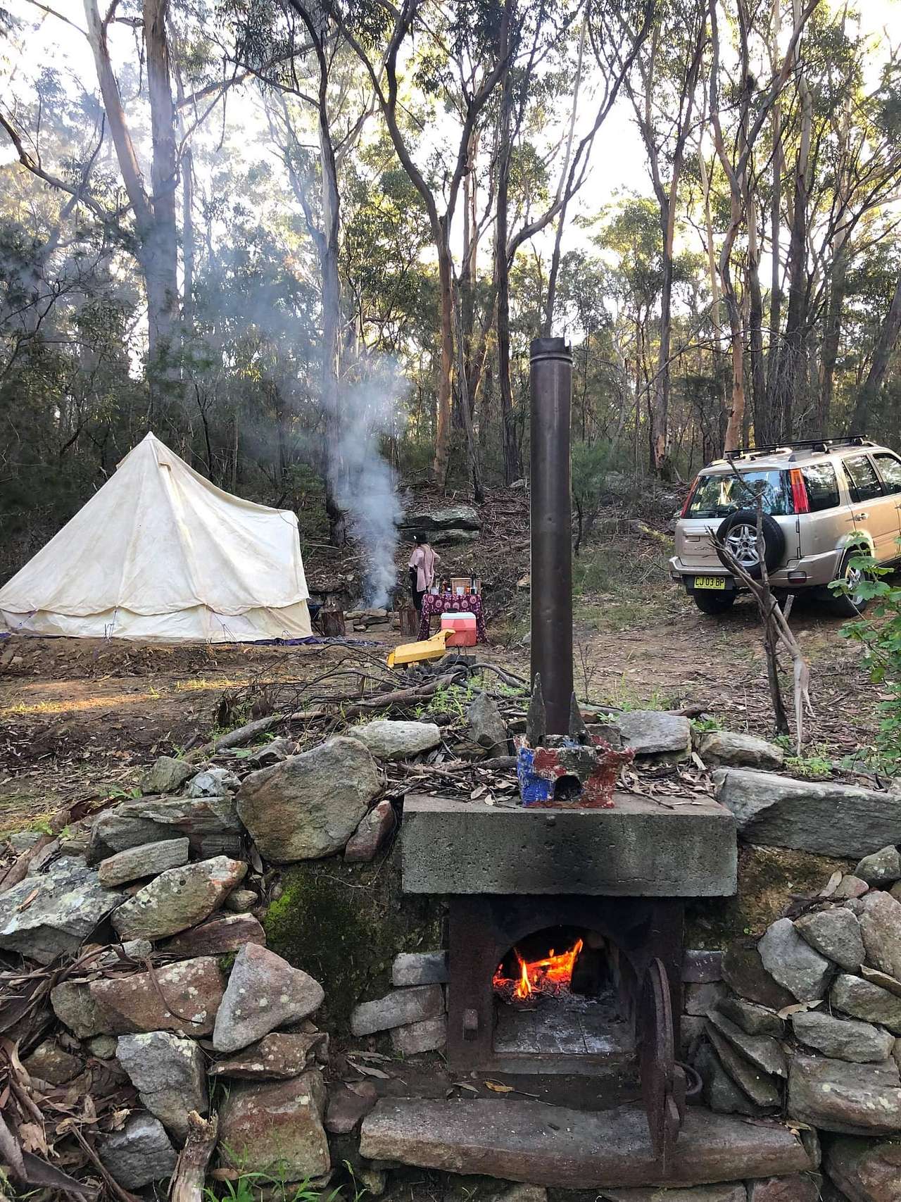 Wood fire pizza oven and our set up