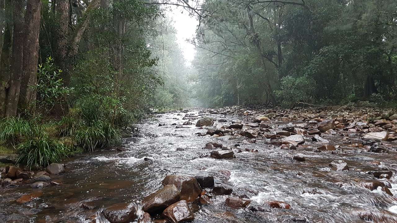 Brogers creek
