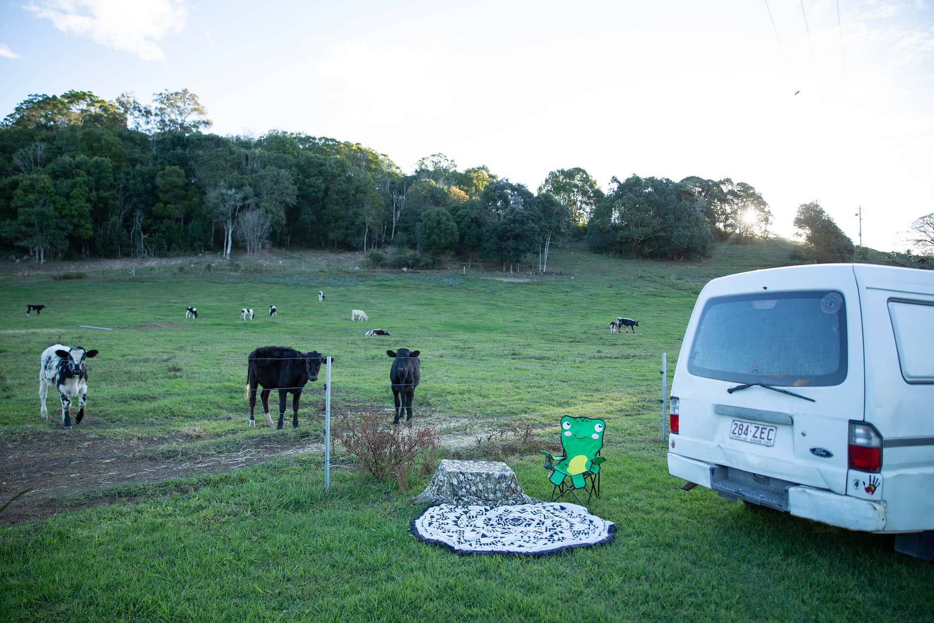 Tweed Valley Farmhouse Cheeses