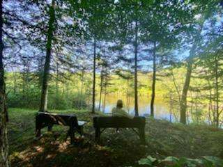 Private Hardwood forest river camp