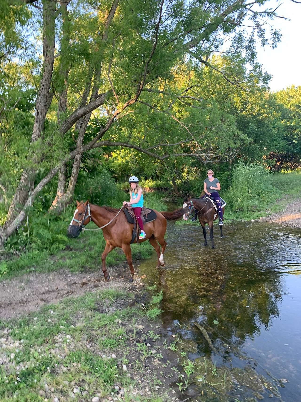 Millbrook Trail Rides