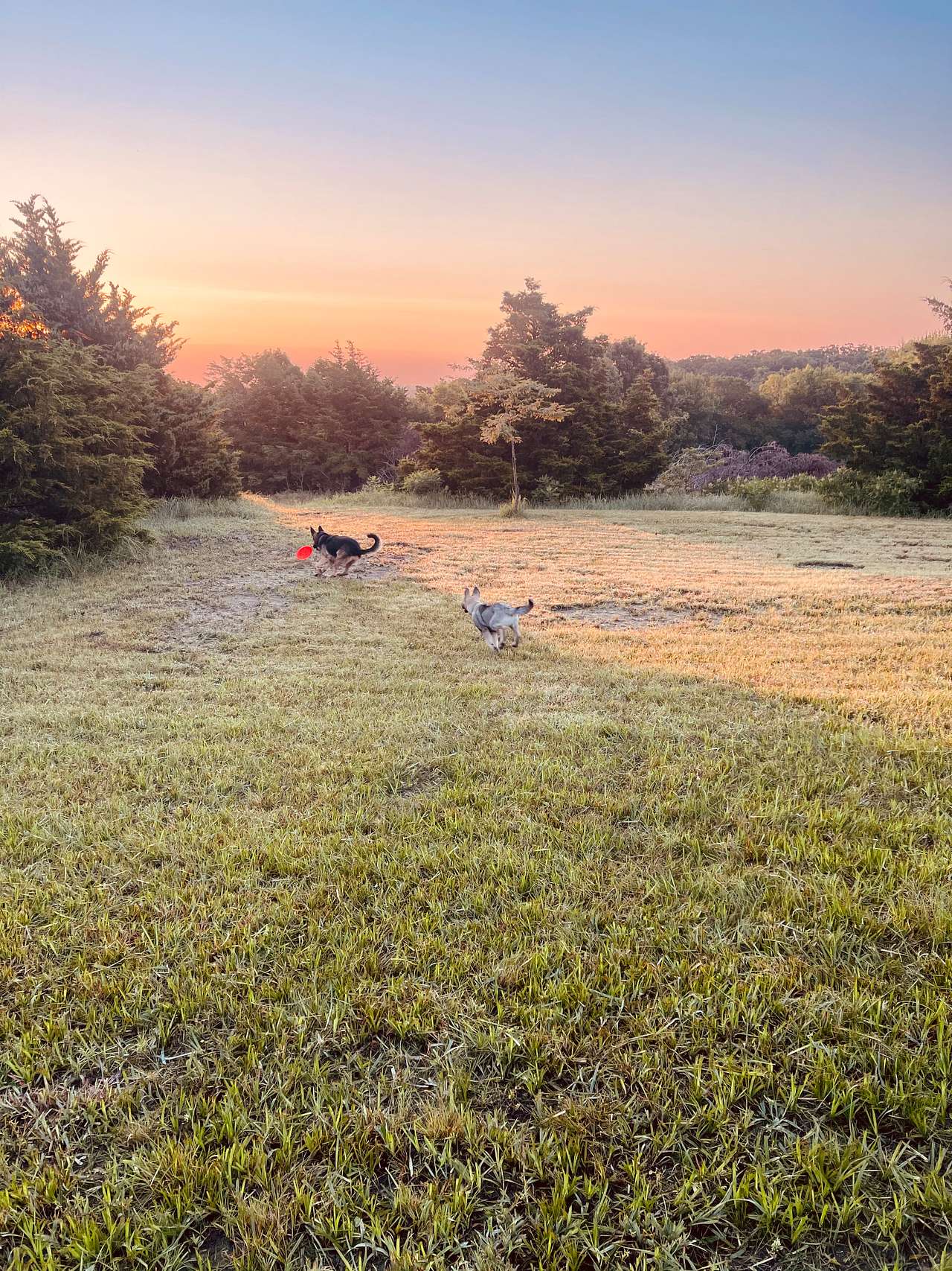 View of the sunrise from site 1