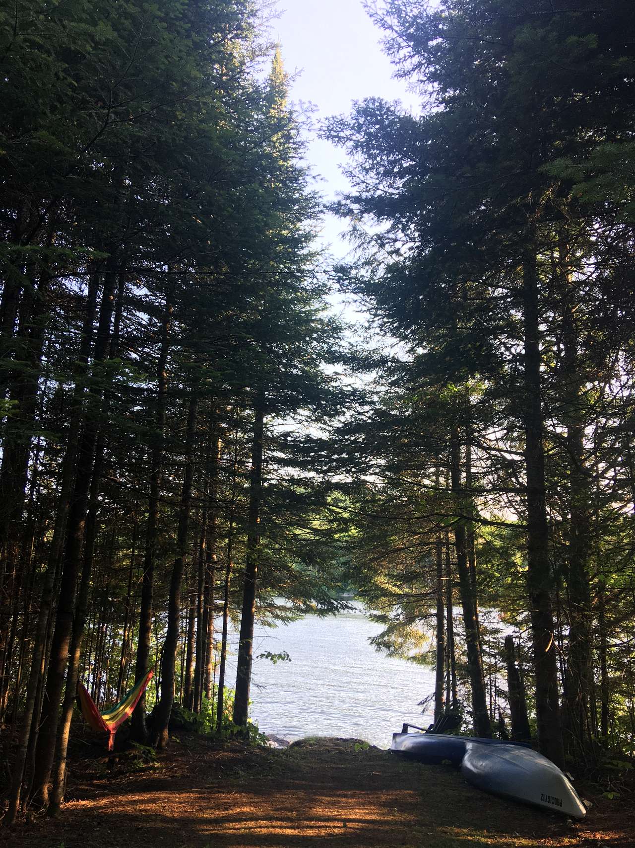 The Alcove at Martin's Pond