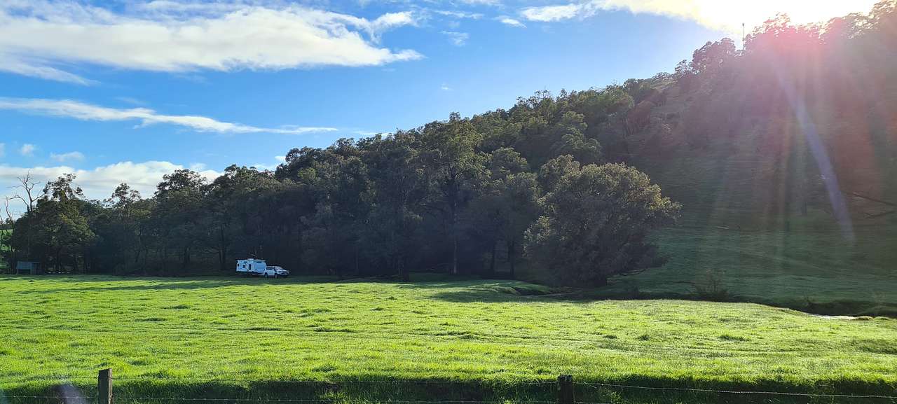 View looking back towards Frog Gully