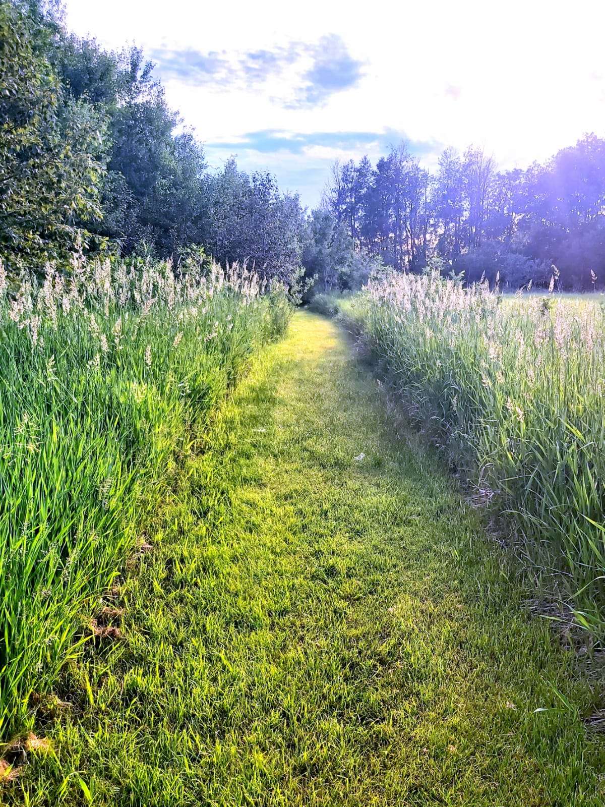 Discover the healing power of nature by immersing your mind, body and spirit in this peaceful 45-acre setting.