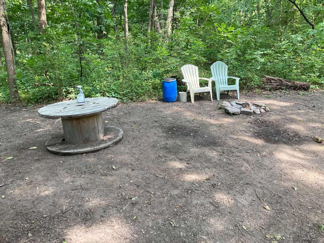 Welcome to our Magical Woods